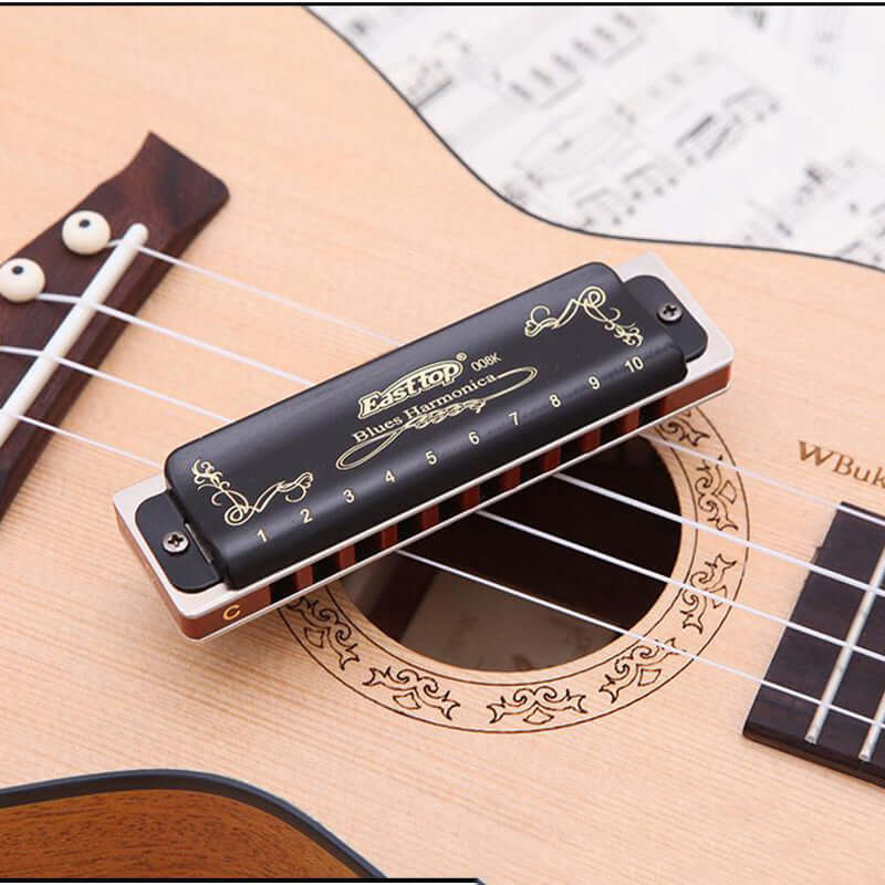 CUTTING-EDGE TECHNOLOGY T008K C Key 10-Hole Blues Harmonica