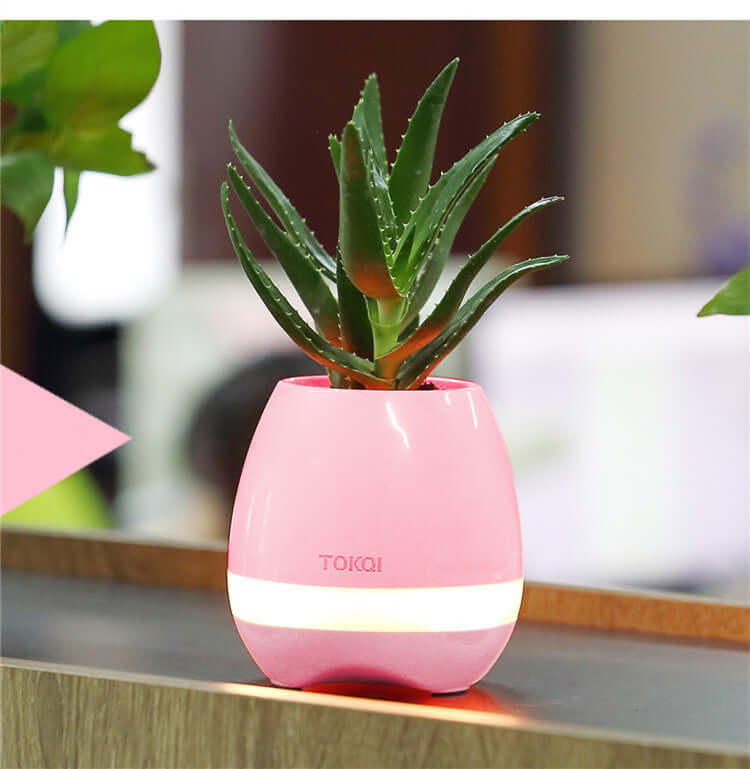 CUTTING-EDGE TECHNOLOGY touch-sensitive music vase desktop speaker