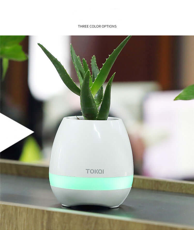 CUTTING-EDGE TECHNOLOGY touch-sensitive music vase desktop speaker