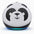 CUTTING-EDGE TECHNOLOGY WiFi Smart English Learning Speaker