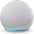 CUTTING-EDGE TECHNOLOGY WiFi Smart English Learning Speaker