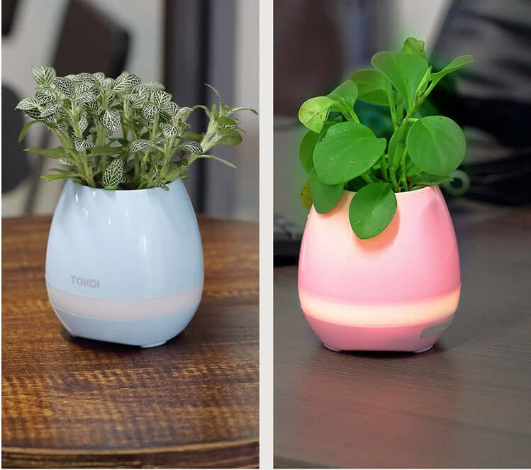 CUTTING-EDGE TECHNOLOGY touch-sensitive music vase desktop speaker